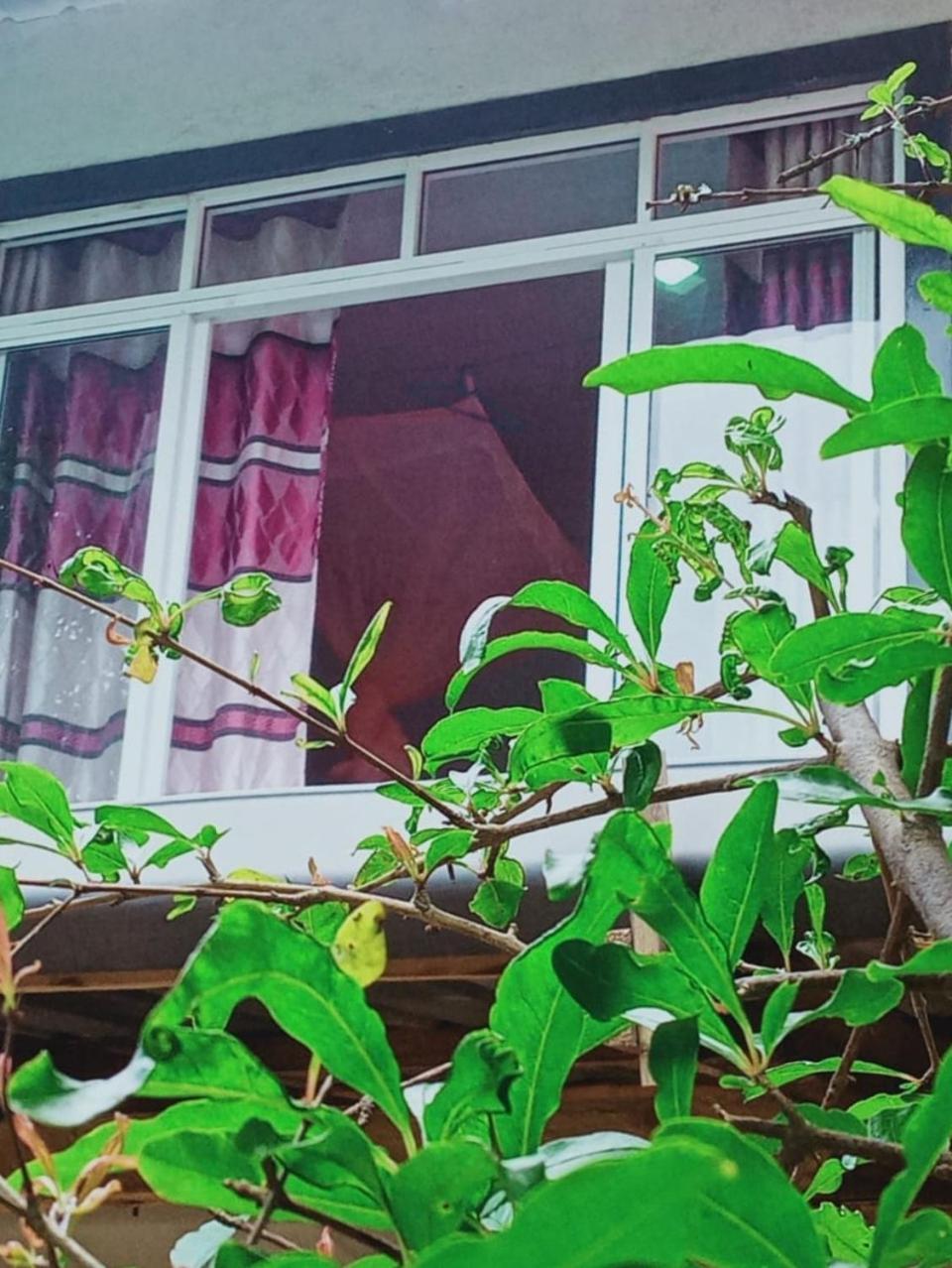 Misty View Inn Ела Екстериор снимка